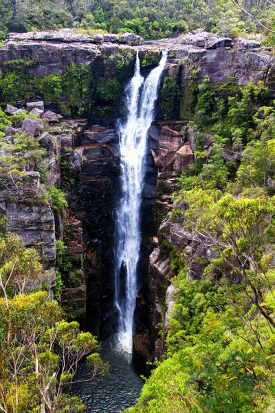 Carrington Falls Νέα Νότια Ουαλία Αυστραλία — Φωτογραφία Αρχείου