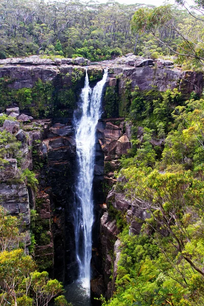 Carrington Falls Νέα Νότια Ουαλία Αυστραλία — Φωτογραφία Αρχείου