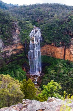 Wentworth Falls, Wentworth, NSW, Avustralya yakınlarındaki Blue Mountains Ulusal Parkı 'nda.