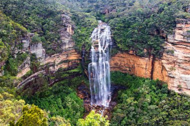 Wentworth Falls, Wentworth, NSW, Avustralya yakınlarındaki Blue Mountains Ulusal Parkı 'nda.