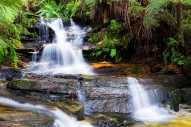 Leura Falls, Blue Mountains, New South Wales, Australia clipart