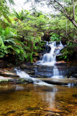Leura Şelaleleri, Mavi Dağlar, Yeni Güney Galler, Avustralya