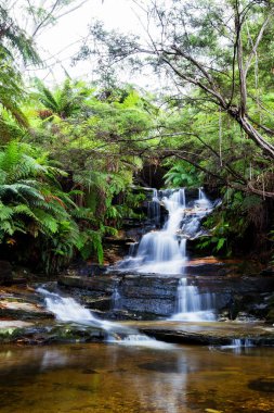 Leura Şelaleleri, Mavi Dağlar, Yeni Güney Galler, Avustralya