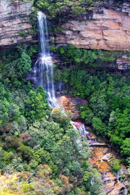 Blue Mountains Falls, New South Wales, Avustralya