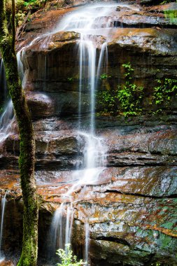 Blue Mountains Falls, New South Wales, Avustralya