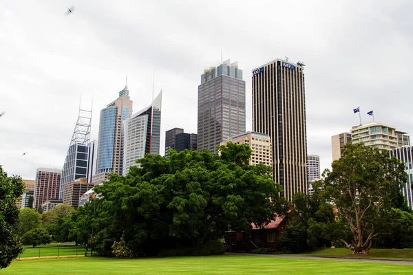 Sydney November Sydneys Cbd View Sydney Harbour Bridge 2013 시드니 — 스톡 사진