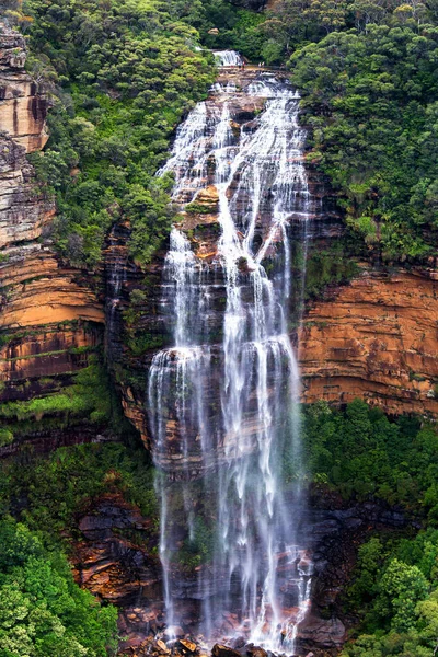 Wentworth Falls, Wentworth, NSW, Avustralya yakınlarındaki Blue Mountains Ulusal Parkı 'nda.