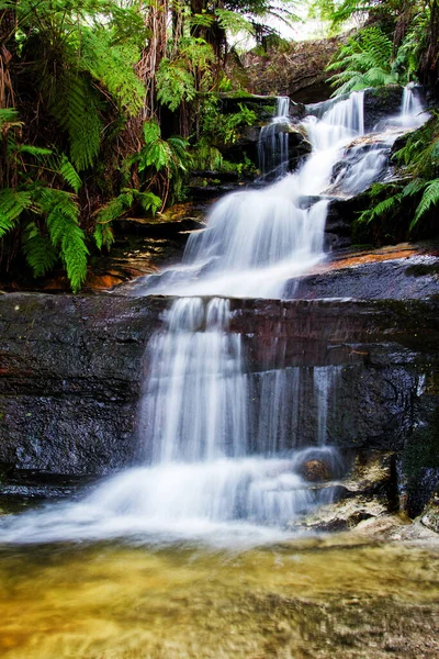 Leura Falls Blue Mountains New South Wales オーストラリア — ストック写真