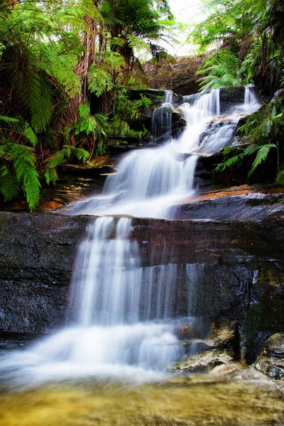 Leura Falls Blue Mountains Nova Gales Sul Austrália — Fotografia de Stock