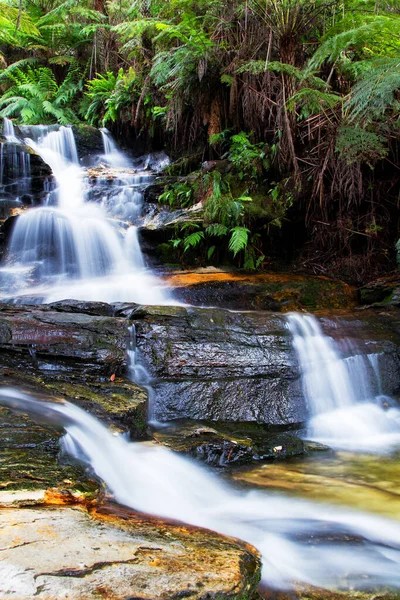 Leura Falls Blue Mountains New South Wales オーストラリア — ストック写真