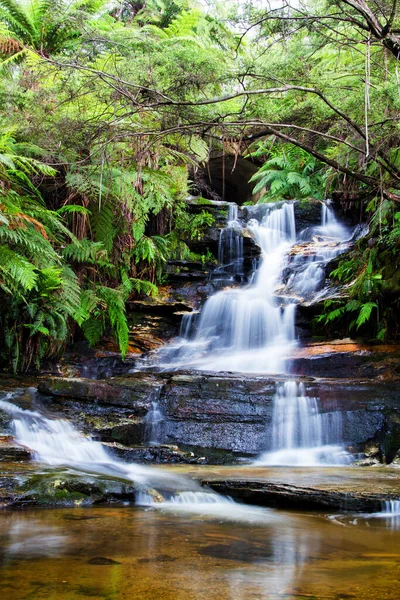 Leura Falls Blue Mountains New South Wales オーストラリア — ストック写真