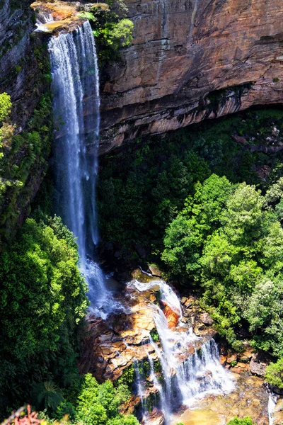 Blue Mountains Falls New South Wales Australië — Stockfoto