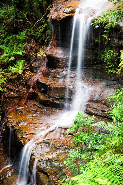 Blue Mountains Falls Nova Gales Sul Austrália — Fotografia de Stock