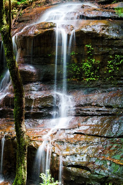 Blue Mountains Falls New South Wales Australien — Stockfoto