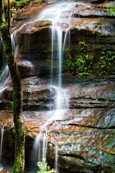 Blue Mountains Falls New South Wales Australien — Stockfoto