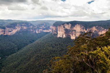 Mavi Dağlar, Yeni Güney Galler, Avustralya