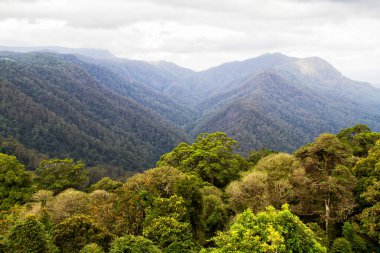 Avustralya dağlarında manzara