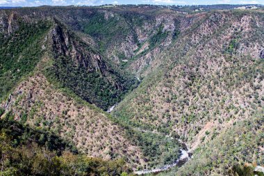 Avustralya 'daki Wollomombi Vadisi' nde devasa kaya yüzeyleri var.