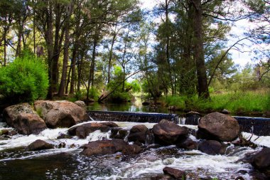 Gölet, Yeni Güney Galler, Avustralya