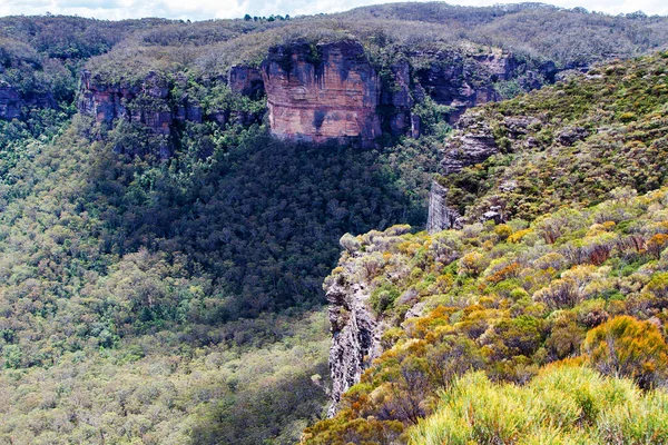 Blue Mountains Range Nuovo Galles Del Sud Australia — Foto Stock