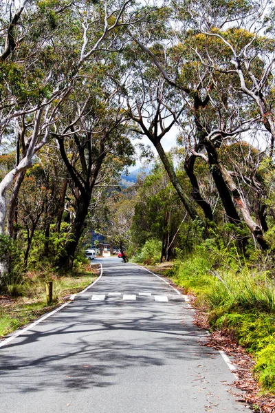 Queensland Avustralya Daki Tarım Arazilerinden Geçen Dolambaçlı Yol — Stok fotoğraf