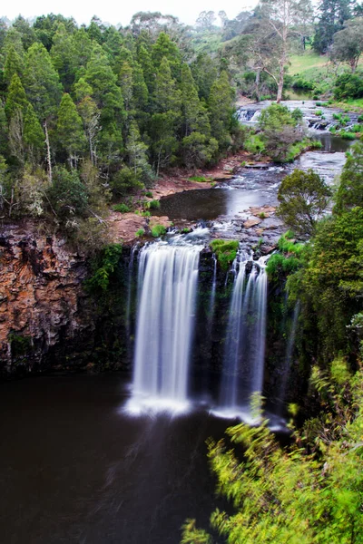 Dangar Falls Dorrigo Nueva Gales Del Sur Australia — Foto de Stock