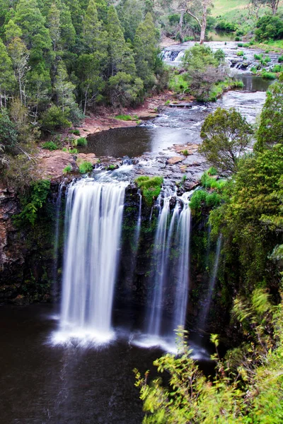 Dangar Falls Dorrigo Νέα Νότια Ουαλία Αυστραλία — Φωτογραφία Αρχείου