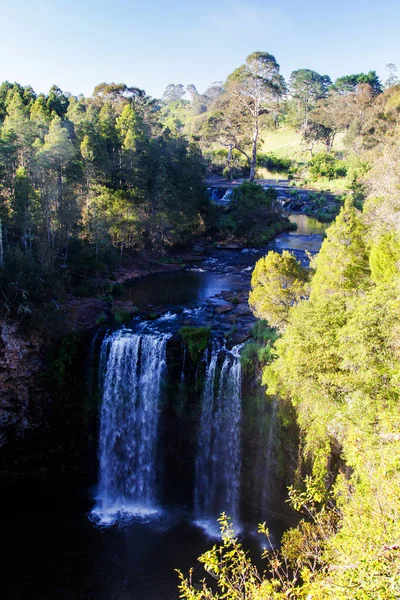 Dangar Falls Dorrigo Nova Gales Sul Austrália — Fotografia de Stock