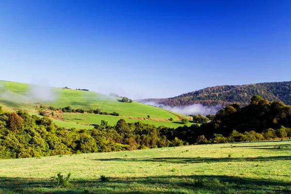 Terreni Agricoli Nuovo Galles Del Sud Australia — Foto Stock