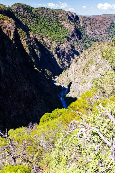 Rostos Rochosos Maciços Desfiladeiro Wollomombi Austrália — Fotografia de Stock