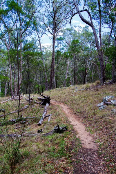 Шлях Національному Парку Австралія — стокове фото