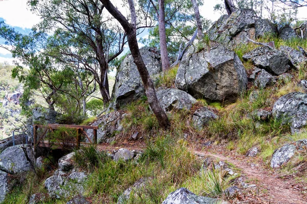 Vägen Nationalpark Australien — Stockfoto