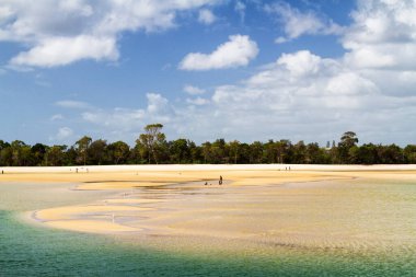 Noosa Kafaları, Queensland, Avustralya