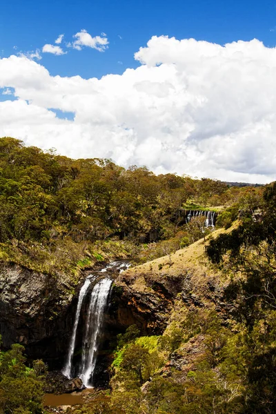 Ebor Falls New South Wales Australië — Stockfoto