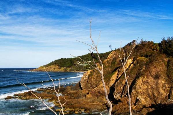 Byron Bay New South Wales Australien — Stockfoto