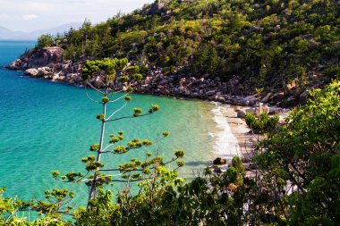 Avustralya 'daki Manyetik Ada