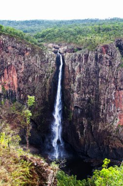 Wallaman Şelalesi, Queensland, Avustralya