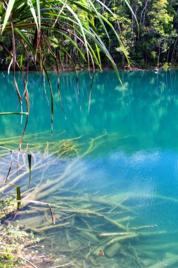Eacham Gölü, kristal berrak suyla dolu sönmüş bir volkanik krater gölüdür.