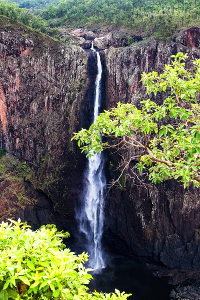 Wallaman Falls Queensland Australie — Photo