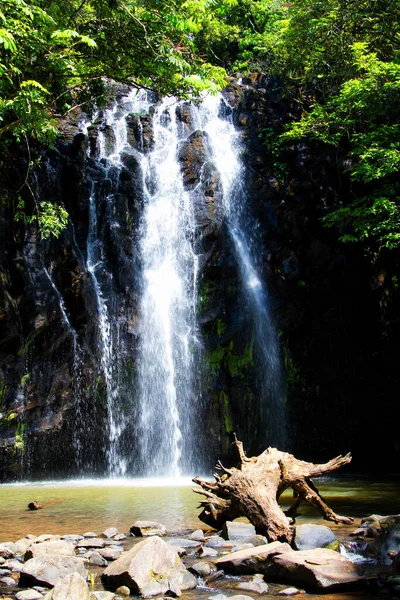 Mungali Falls Queensland Αυστραλία — Φωτογραφία Αρχείου