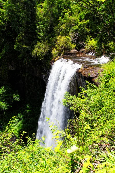 Zillie Falls Queensland Australia — Stock Photo, Image
