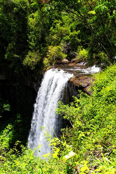 Zillie Falls Queensland Austrália — Fotografia de Stock