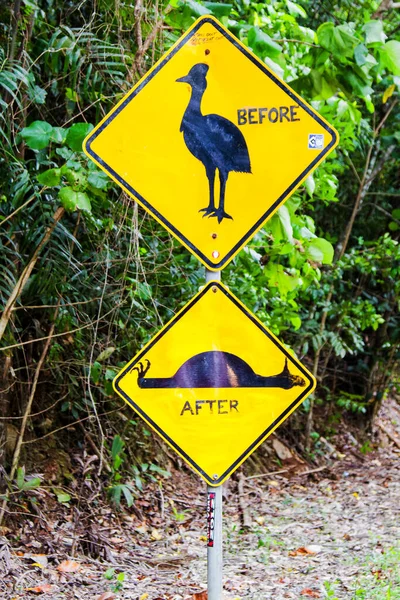 Señal Casuística Divertida Parque Nacional Daintree Queensland Australia — Foto de Stock