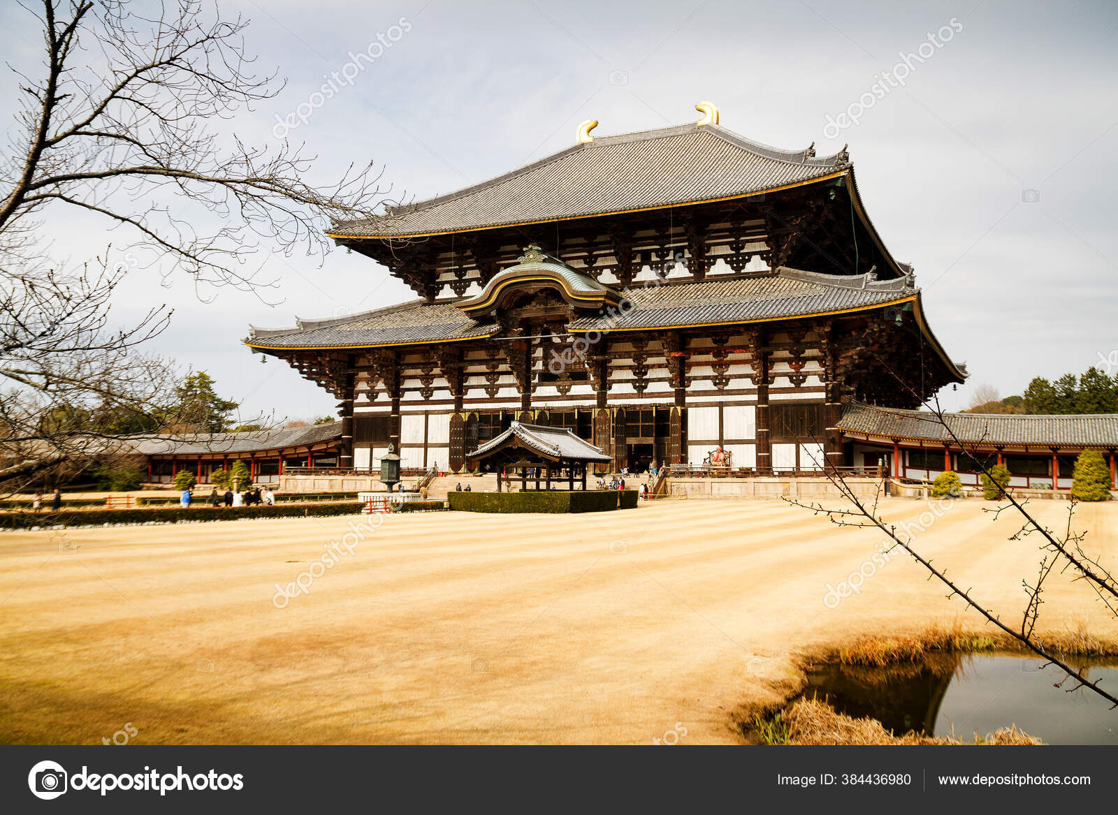東大寺写真素材 ロイヤリティフリー東大寺画像 Depositphotos 東大寺写真素材 ロイヤリティフリー東大寺画像 Depositphotos