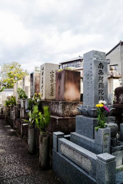 KYOTO, JAPONYA - 11 HAZİRAN: 11 Nisan 2013 tarihinde Japonya 'nın Kyoto şehrinde Higashi Otani mezarlığı. 1671 'den beri var ve Japonya' daki en önemli mezarlıklardan biridir..