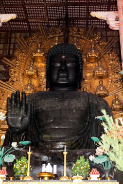 Nara, Japonya - 16 Ocak 2013 'te Japonya' nın Nara kentinde Daibutsu Övgüleri.