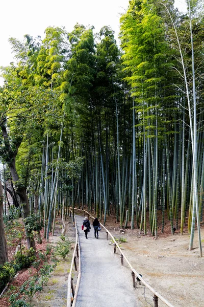 位于日本京都阿拉山的竹林 靠近著名的天水寺 天龙寺是一座禅宗佛寺 意思是天龙寺 是世界文化遗产所在地 — 图库照片
