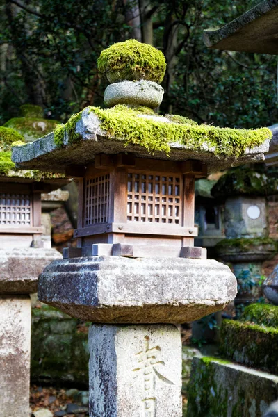 Faroles Piedra Camino Que Conduce Santuario Kasuga Nara Japón — Foto de Stock