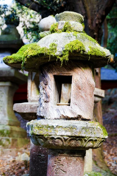 Steinlaternen Auf Der Straße Zum Kasuga Schrein Nara Japan — Stockfoto