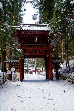 Futarasan Tapınağı 'na giden yol, Nikko, Japonya